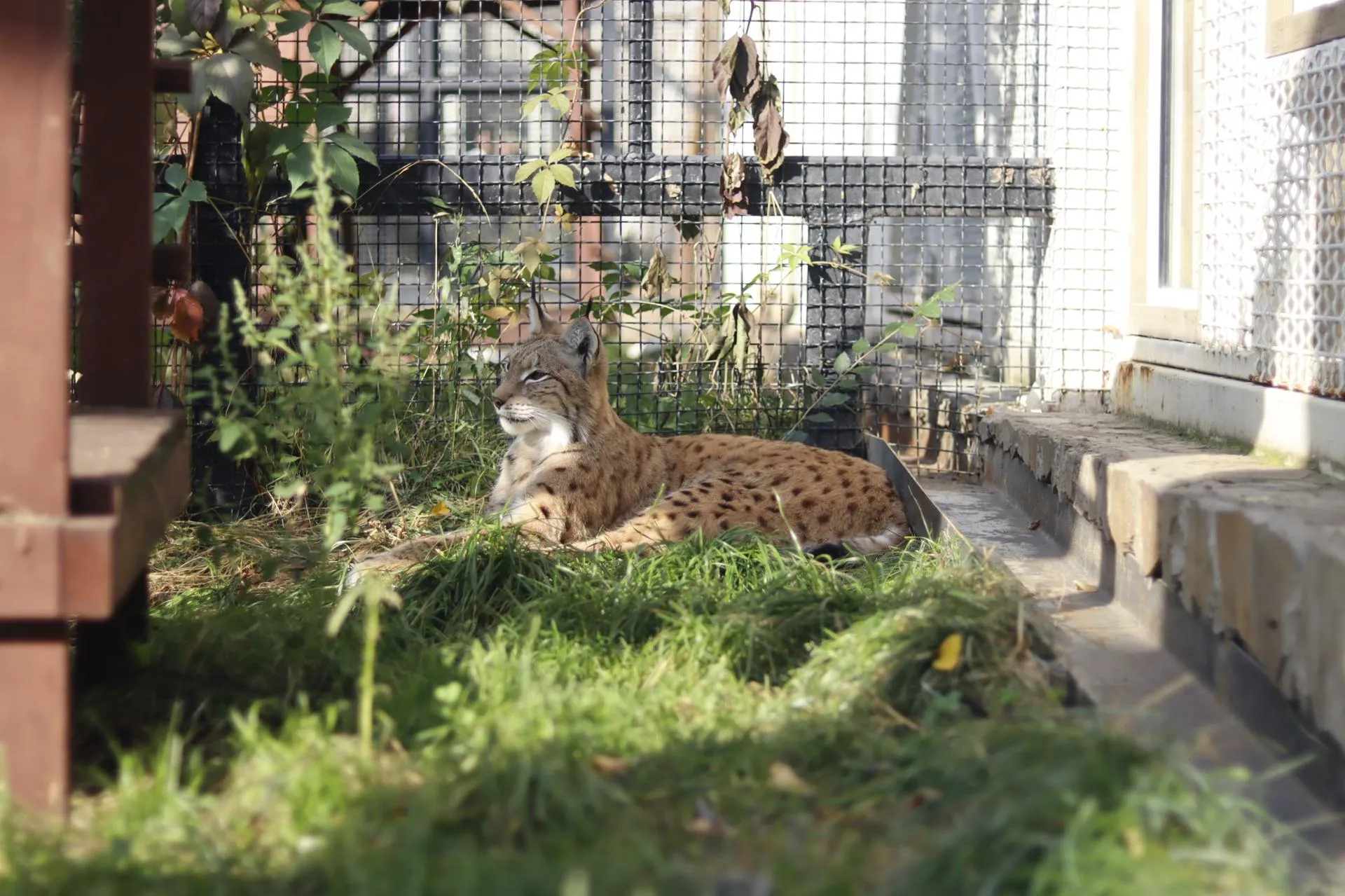 Фото: «Молодая Гвардия» г. о. Зарайск