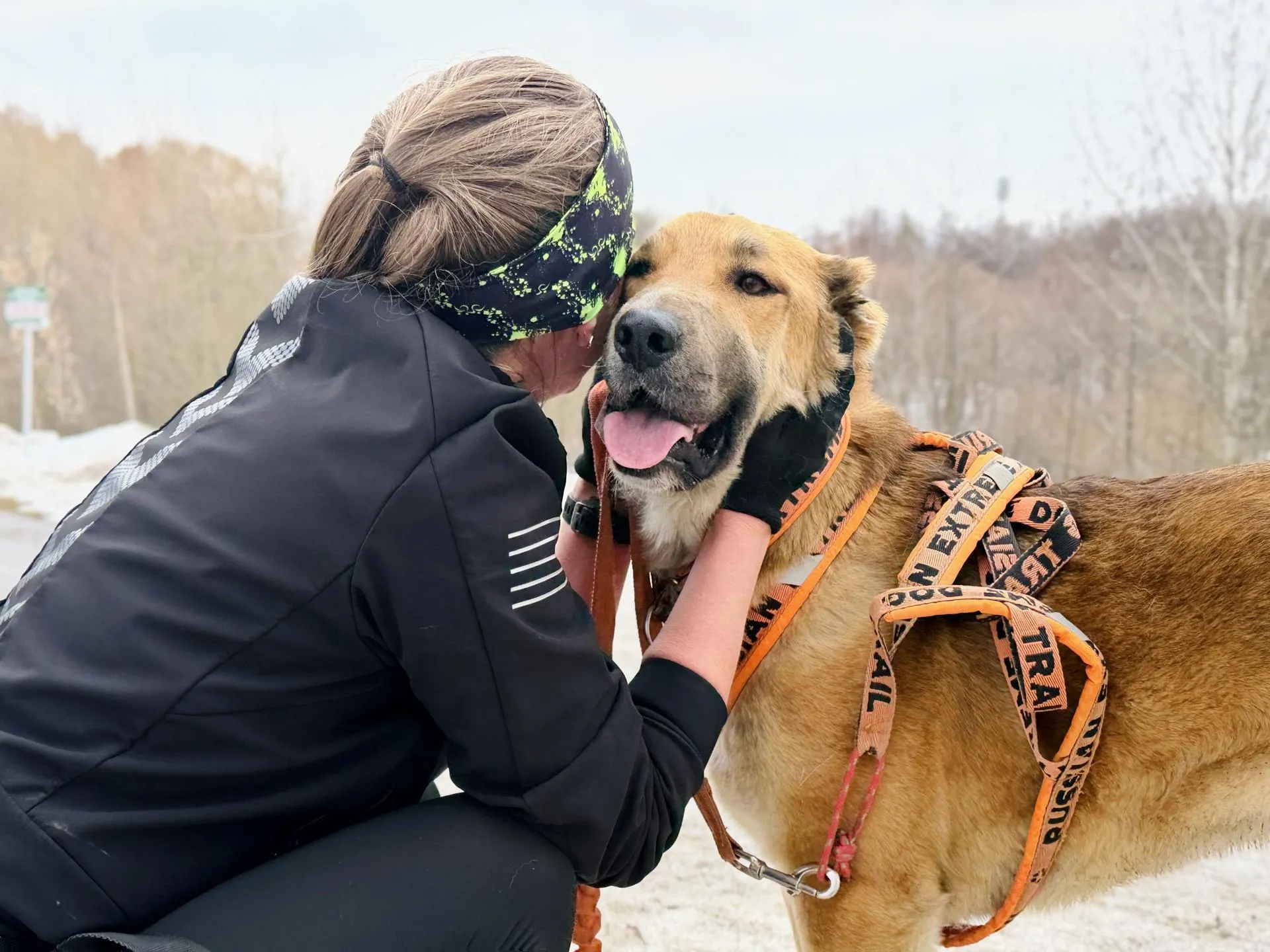 МедиаБанк Подмосковья/Ольга Стаферова