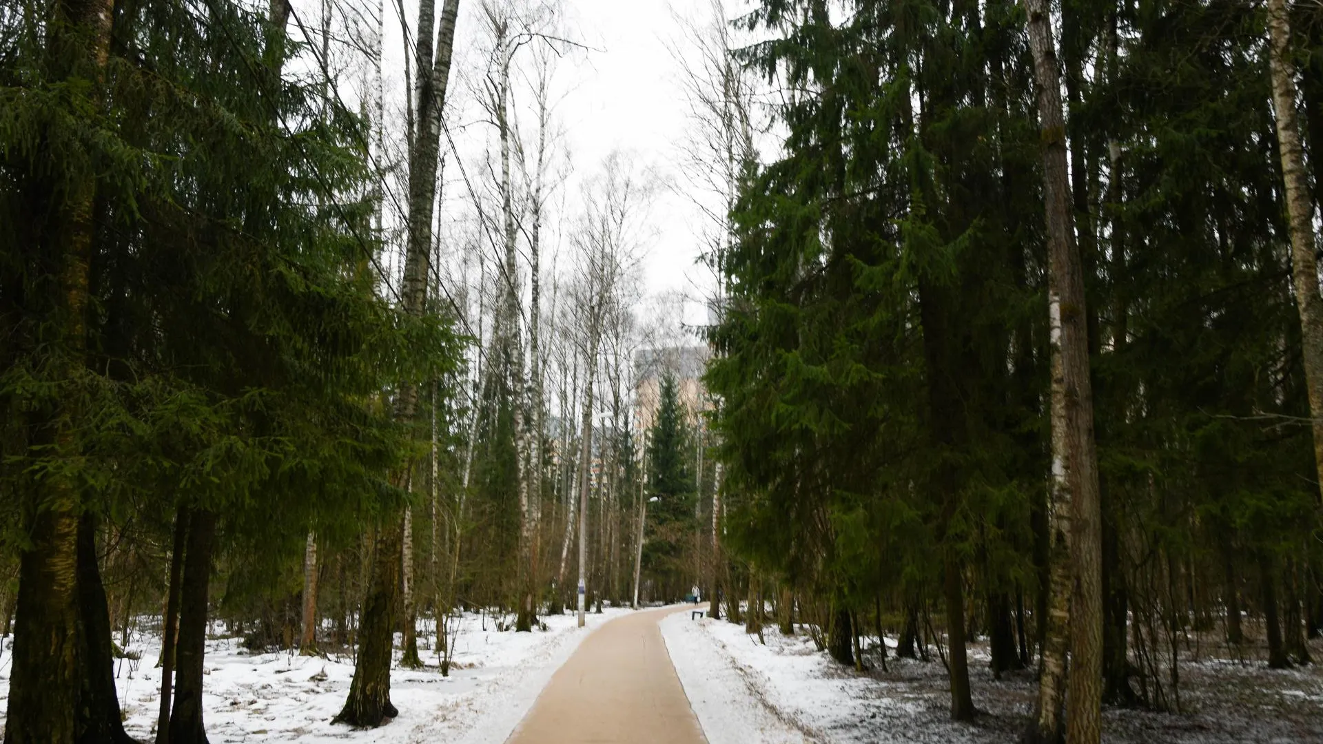 Фото: пресс-служба администрации г.о. Дмитров