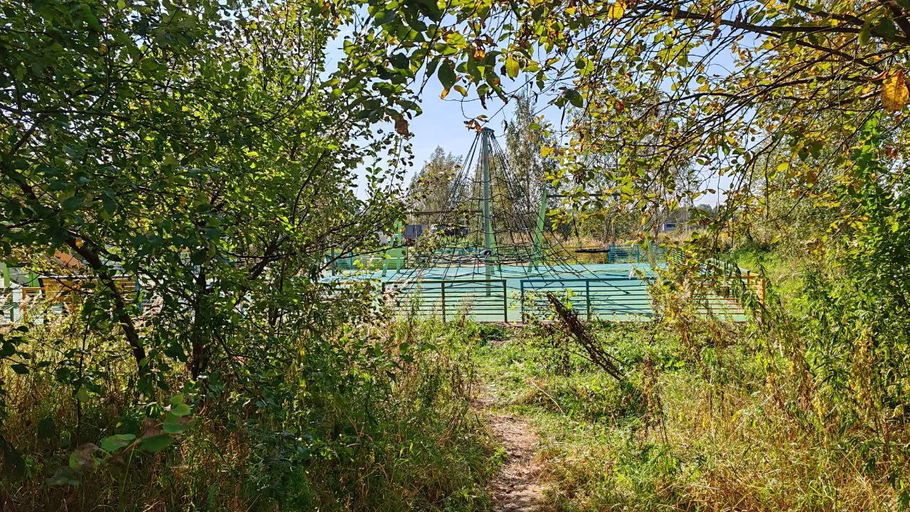 Фото: пресс-служба администрации г. о. Черноголовка