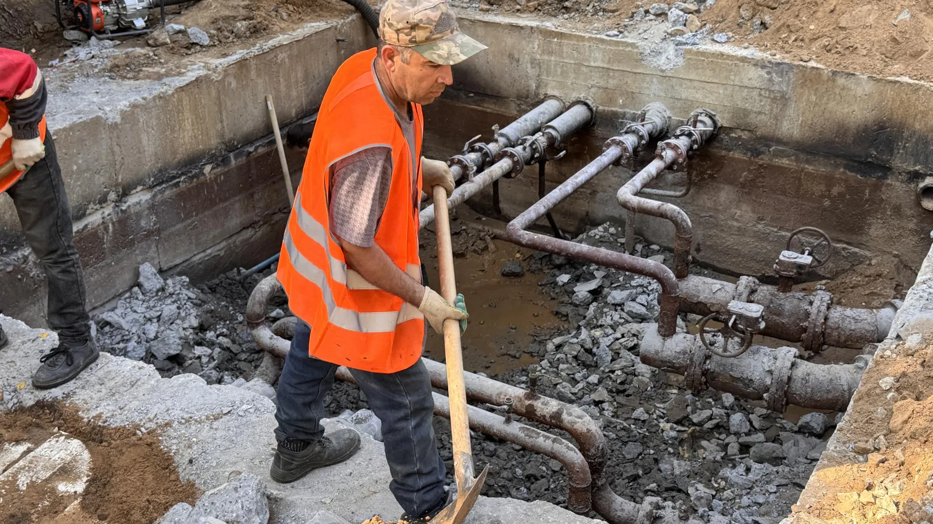 Фото: REGIONS/Мария Шматкова