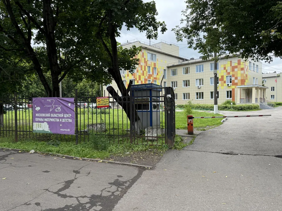 Фото: Анна Дука