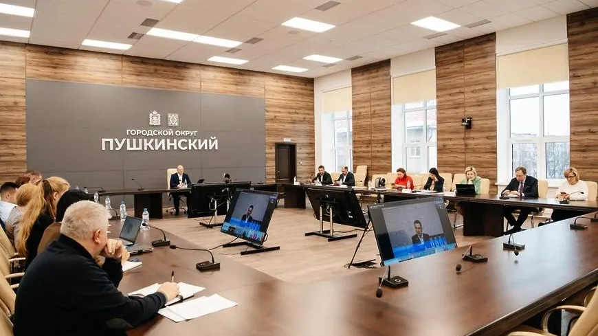 Глава округа Пушкинский оценил реализацию «Социальной газификации» в муниципалитете