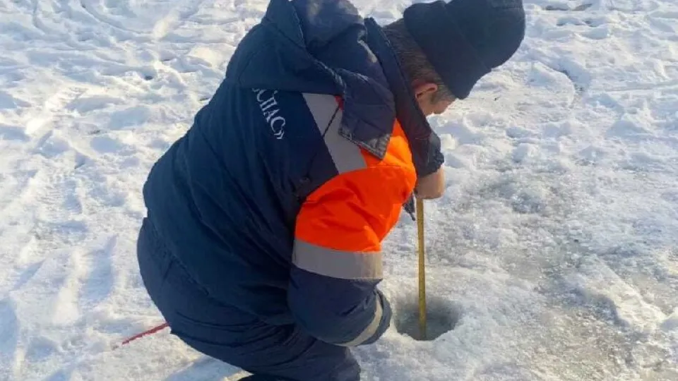 Фото: Администрация г.о. Чехов