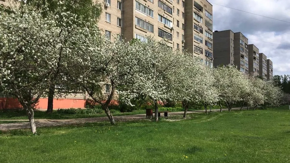 Фото: пресс-служба администрации г. о. Черноголовка