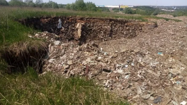 Фото: Министерство экологии и природопользования Московской области