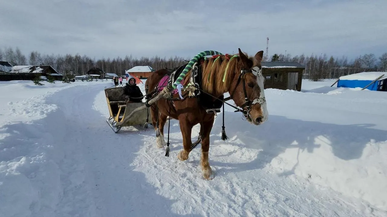 МедиаБанк Подмосковья/Анна Шолохова