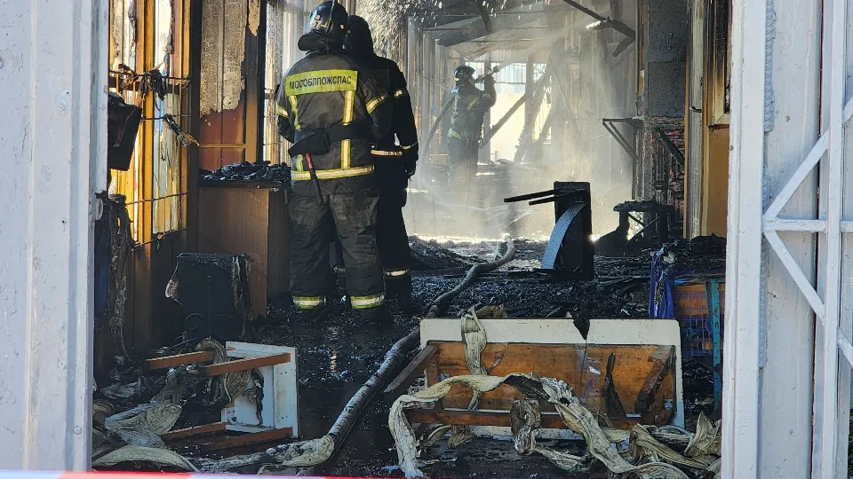 Фото: МедиаБанк Подмосковья/Мария Андрюхина