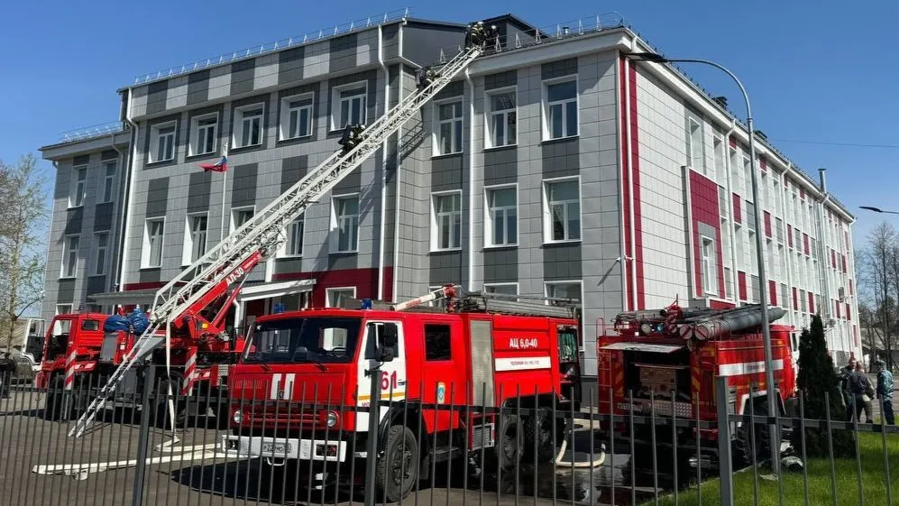 Фото: t.me/tmmedia