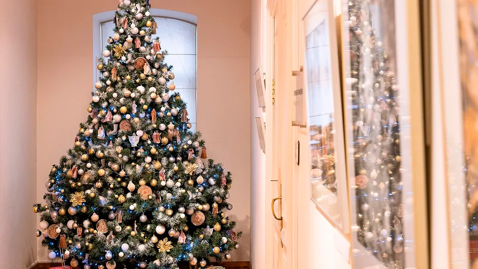 Фото: ГМЗ «Зарайский кремль»