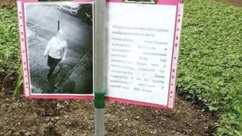 Реутов/vk.com