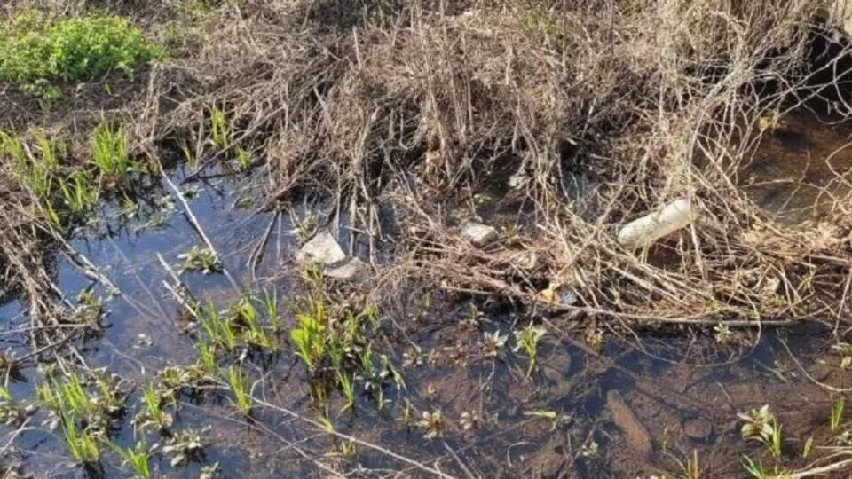 Фото: Министерство экологии и природопользования Московской области