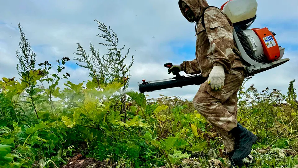 Фото: МедиаБанк Подмосковья/Яна Шаливская