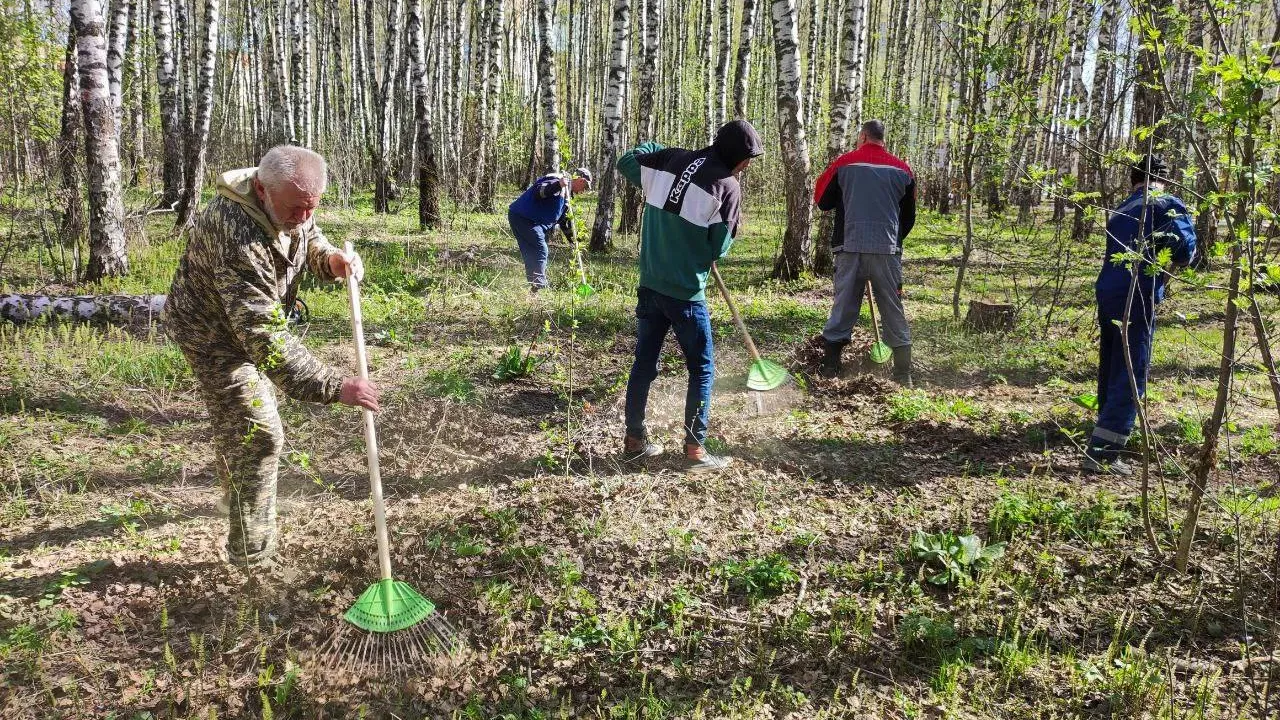 Фото: архив парка культуры и отдыха «Елочки»
