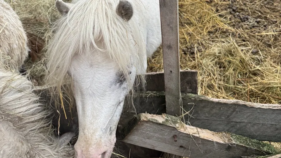 Фото: личный архив Александра Толмачева