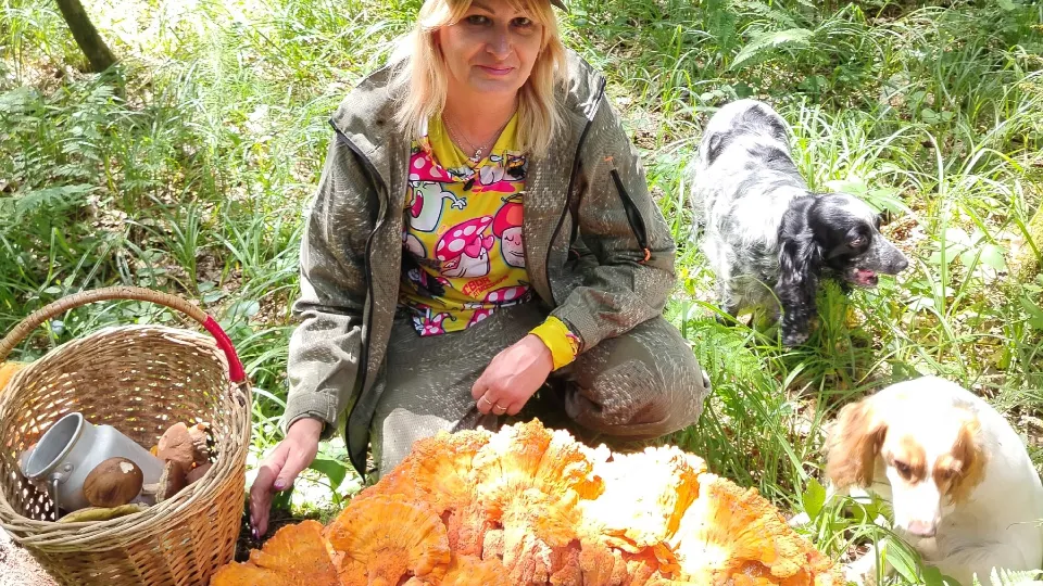 Фото: vk.com/Грибы и Грибники Подмосковья