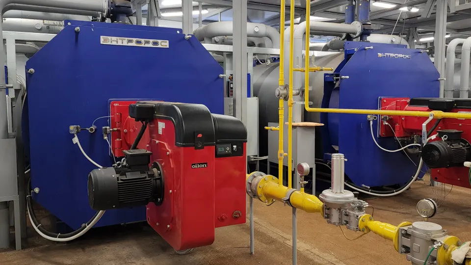 Фото: МедиаБанк Подмосковья/Ольга Шеметова