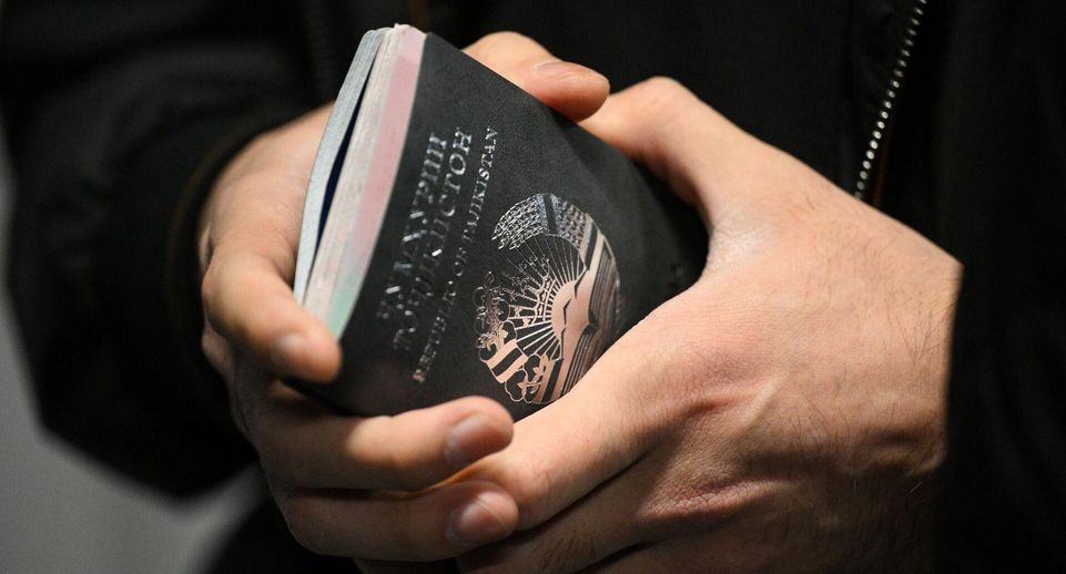 Депутат Миронов предложил выдворять из России иностранцев за мелкое хулиганство