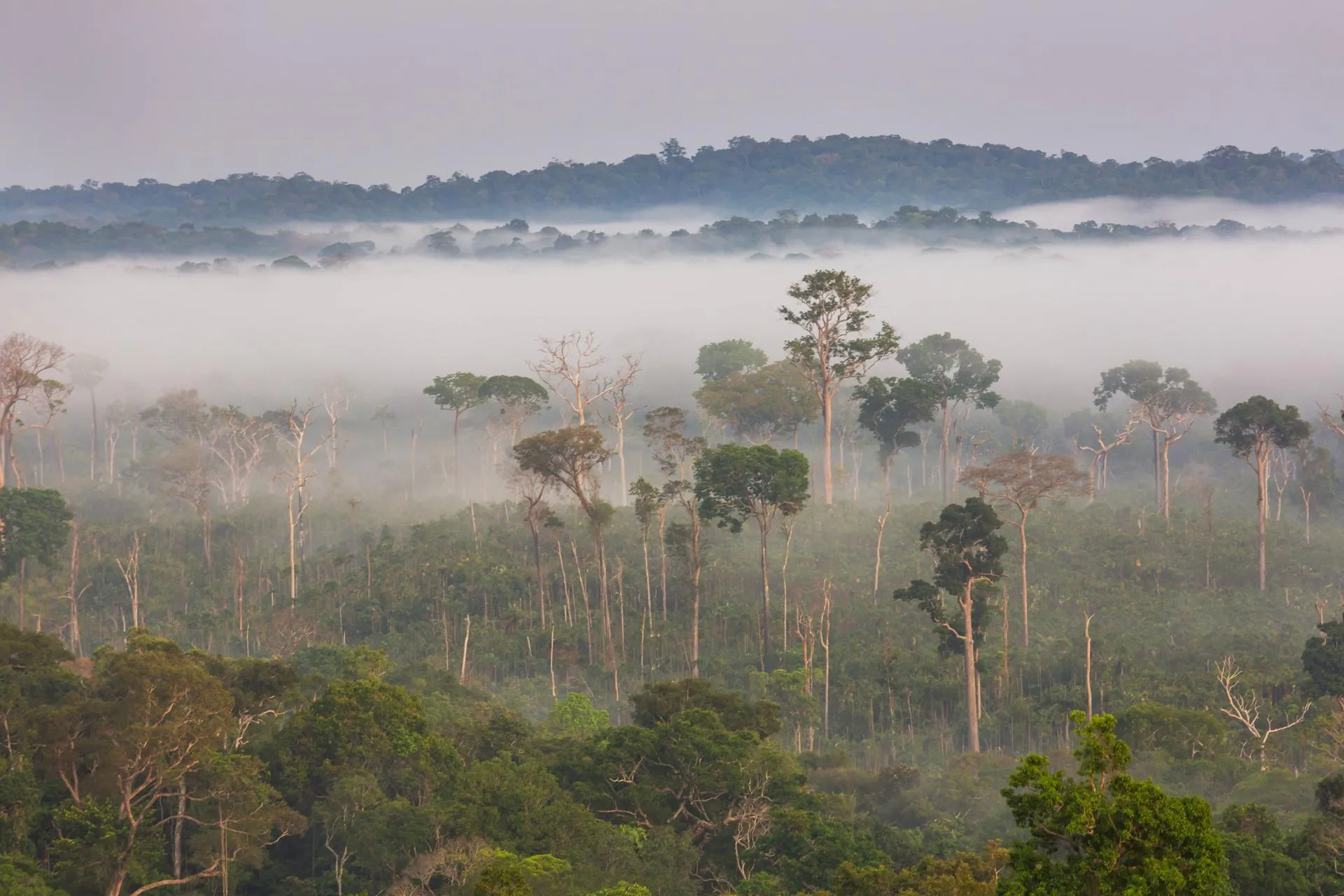 IMAGO/Zoonar.com/Galyna Andrushk