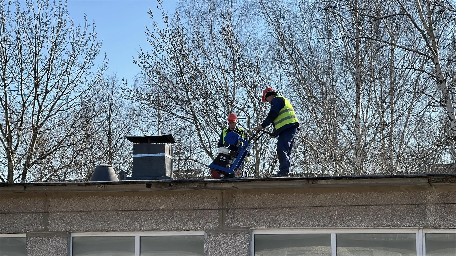 REGIONS/Кристина Тришина