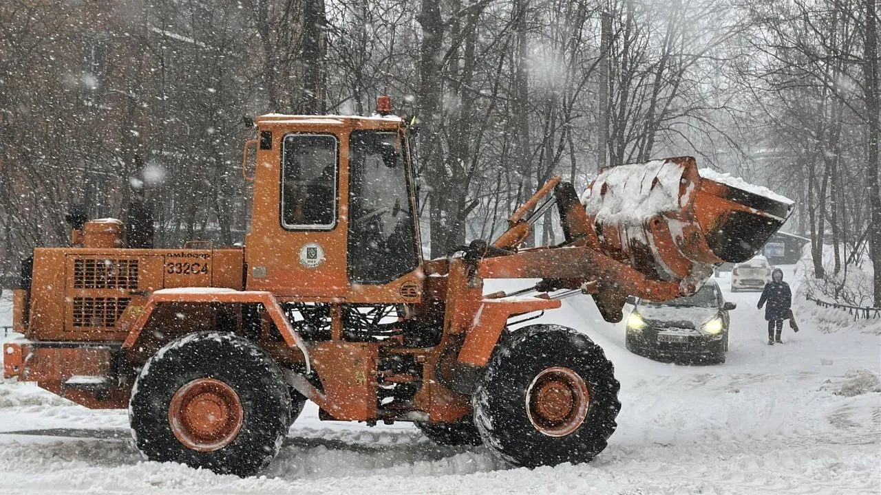 REGIONS/Кристина Тришина