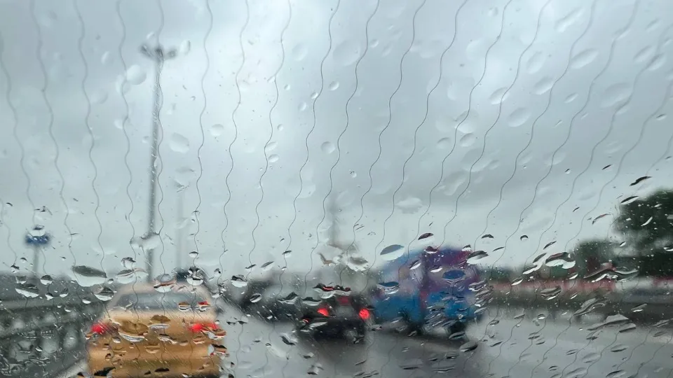 Фото: REGIONS/Елена Фурман