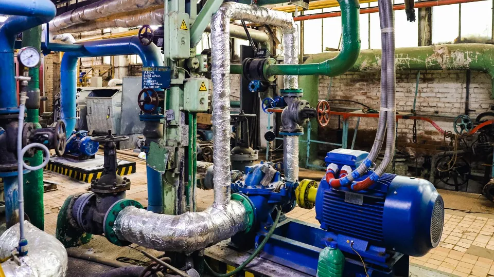 Фото: пресс-служба администрации г.о. Химки