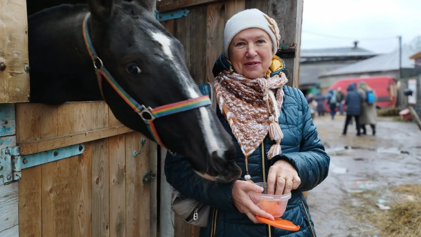 Министерство социального развития Московской области