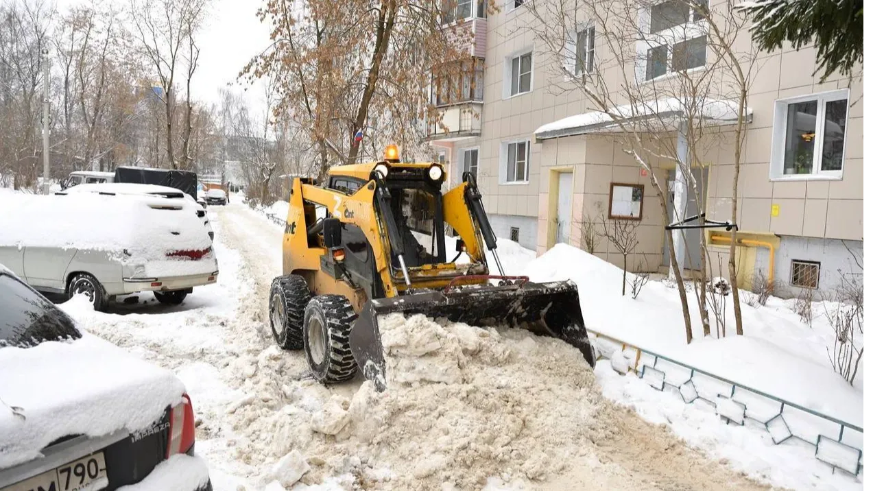 Фото: пресс-служба администрации Дмитровского г.о.