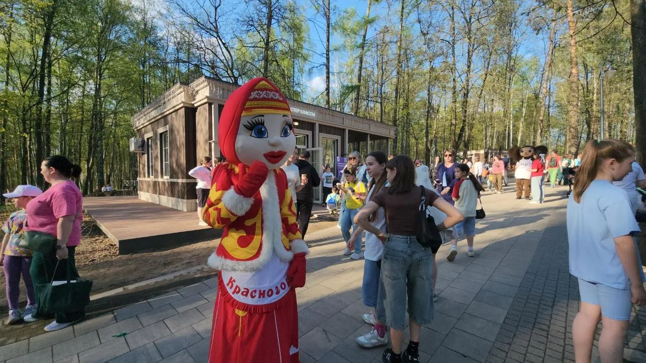 Картинка