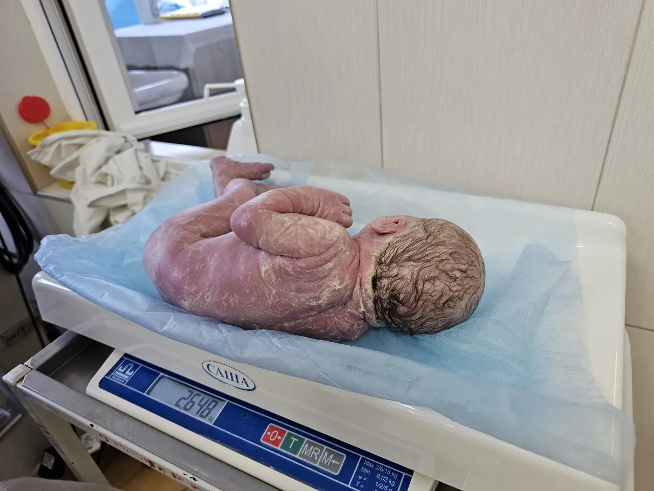 фото пресс-службы Видновского перинатального центра