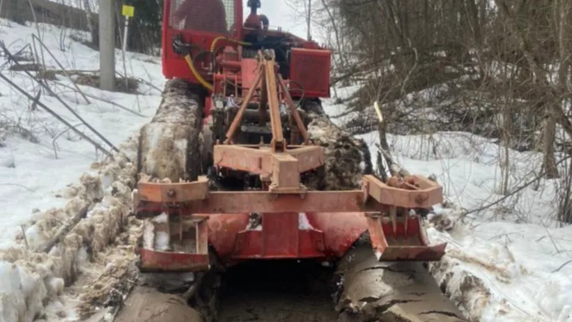 Фото: пресс-служба Комитета лесного хозяйства Московской области