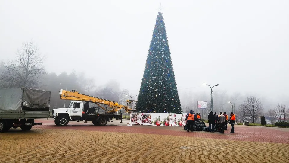 Фото: Министерство благоустройство Московской области