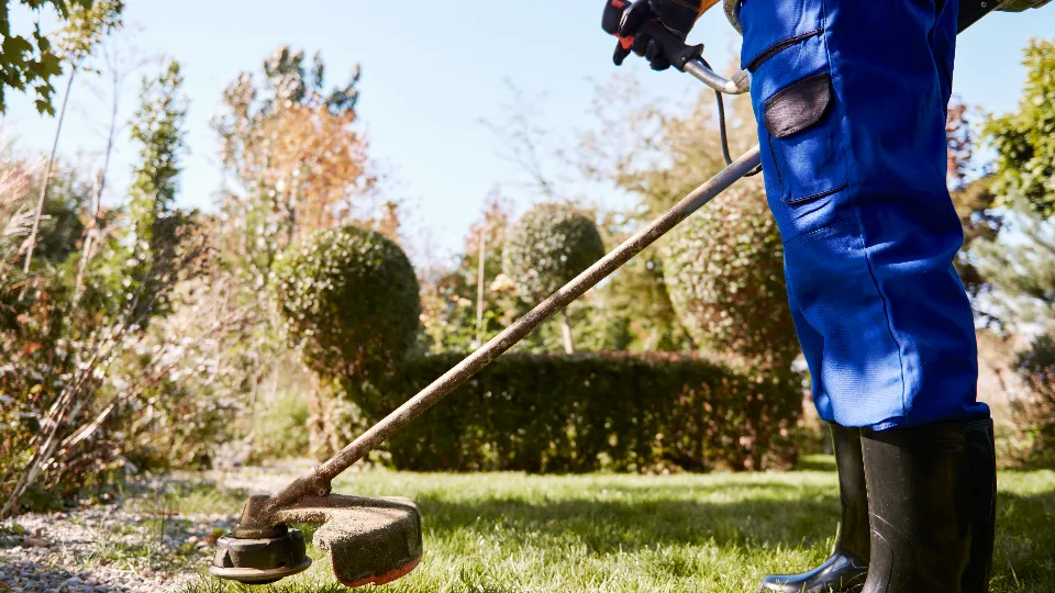 Фото: freepik.com