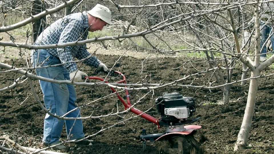 Фото: Александр Легкий
