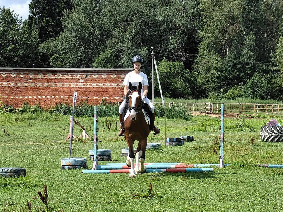 Фото: пресс-служба Администрации г.о. Дмитров