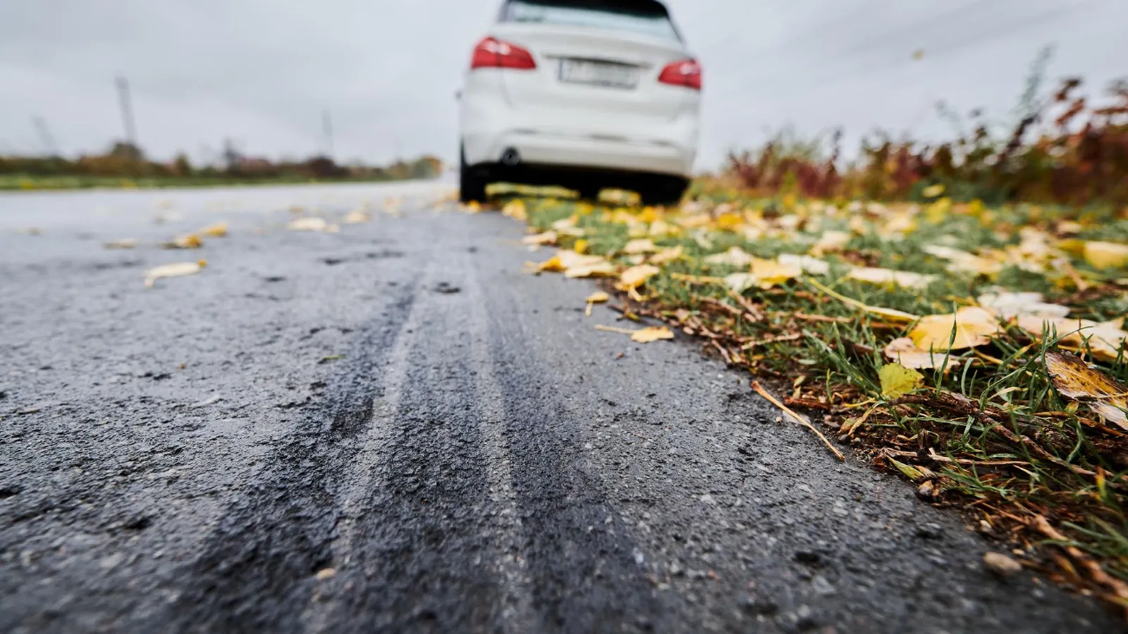 Фото: freepik.com/ArtPhoto_studio