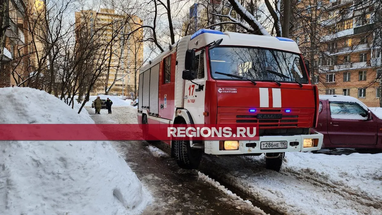 Фото: Роман Яковлев