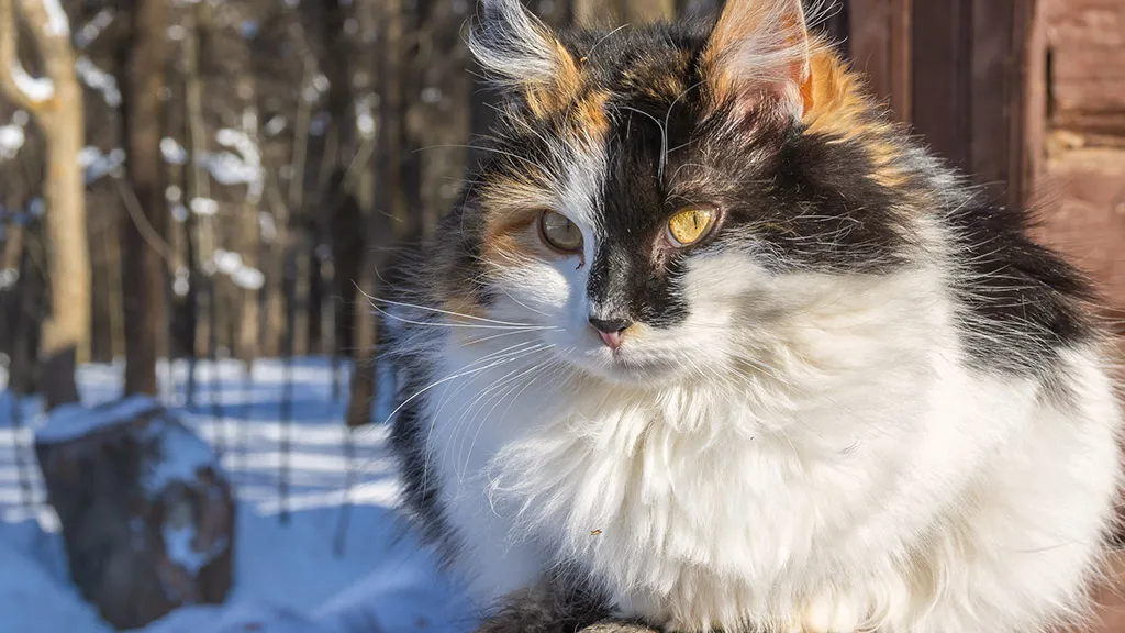 Фото: личный архив Анны Стратанович