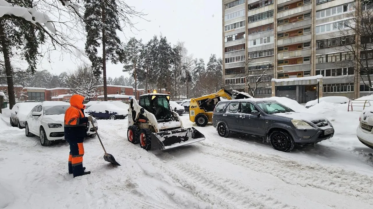 REGIONS/Анна Мороз