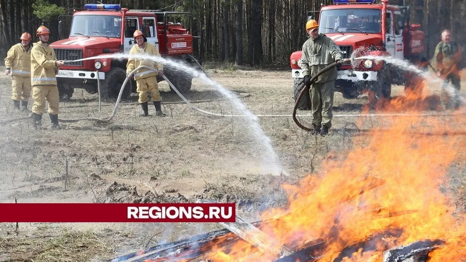Фото: REGIONS/Александр Дрожжин
