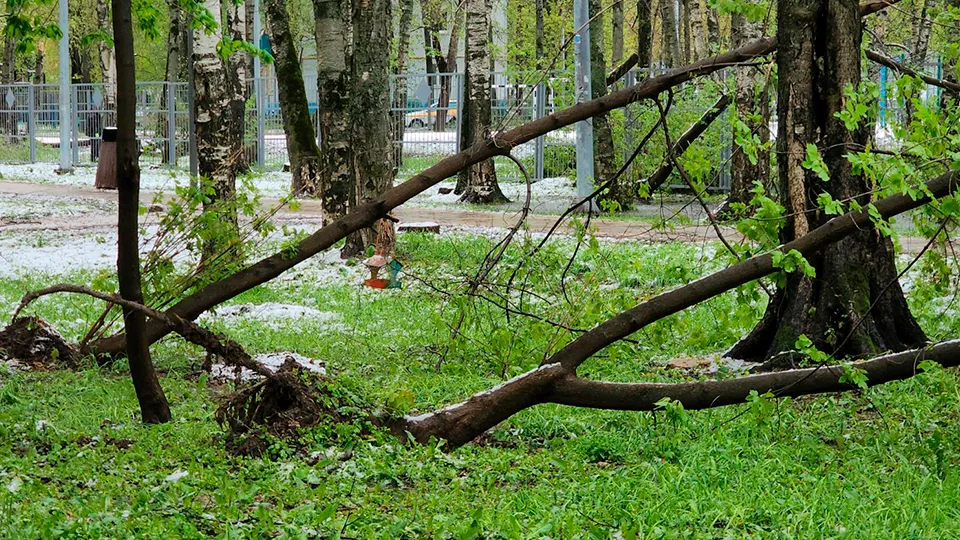 Фото: Юлия Смагринская