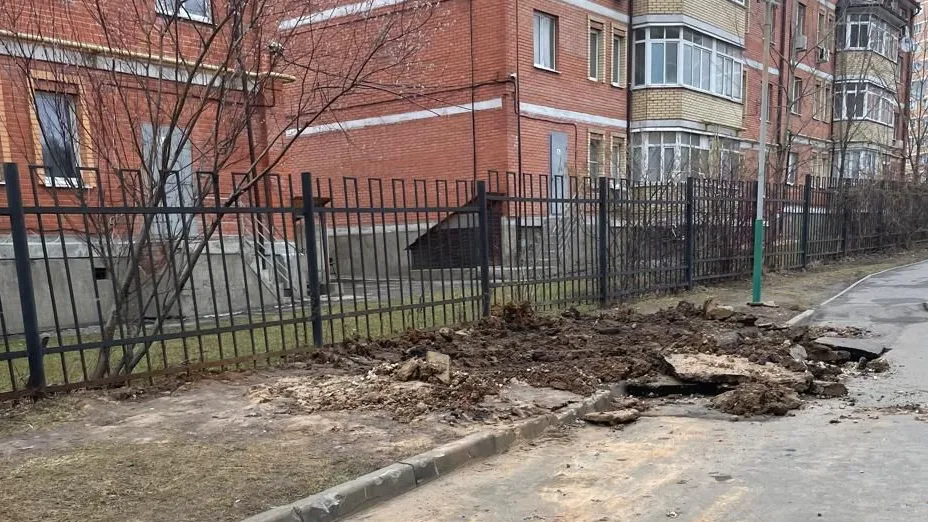 Фото: администрация Наро-Фоминского округа