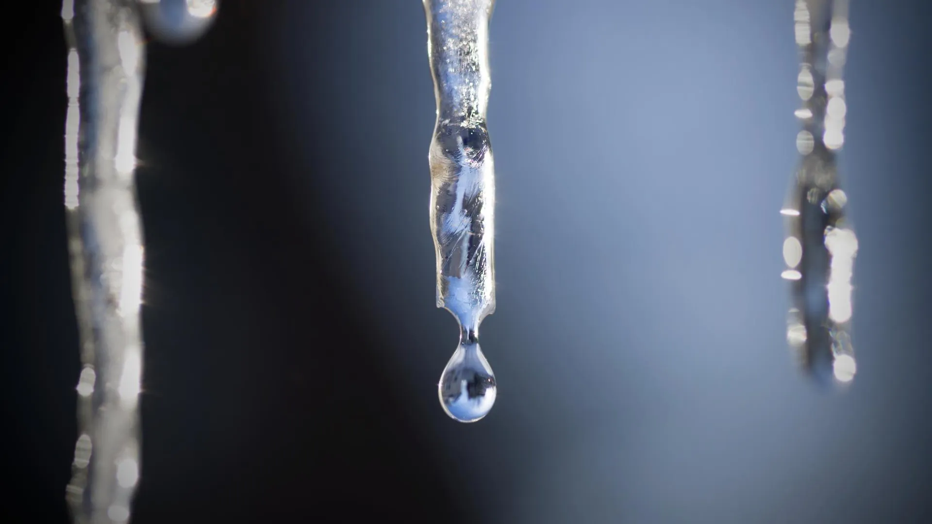 Фото: pxhere.com