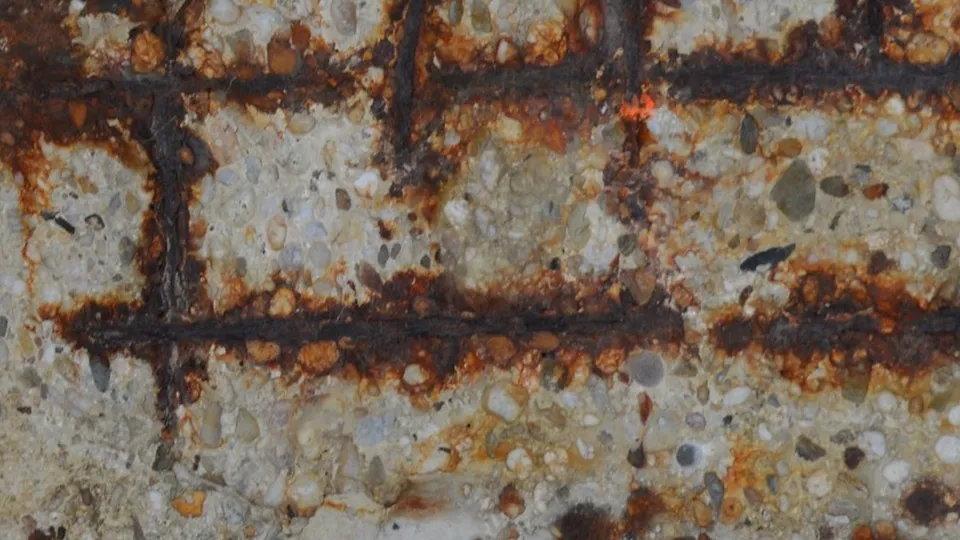 Фото: pxhere.com