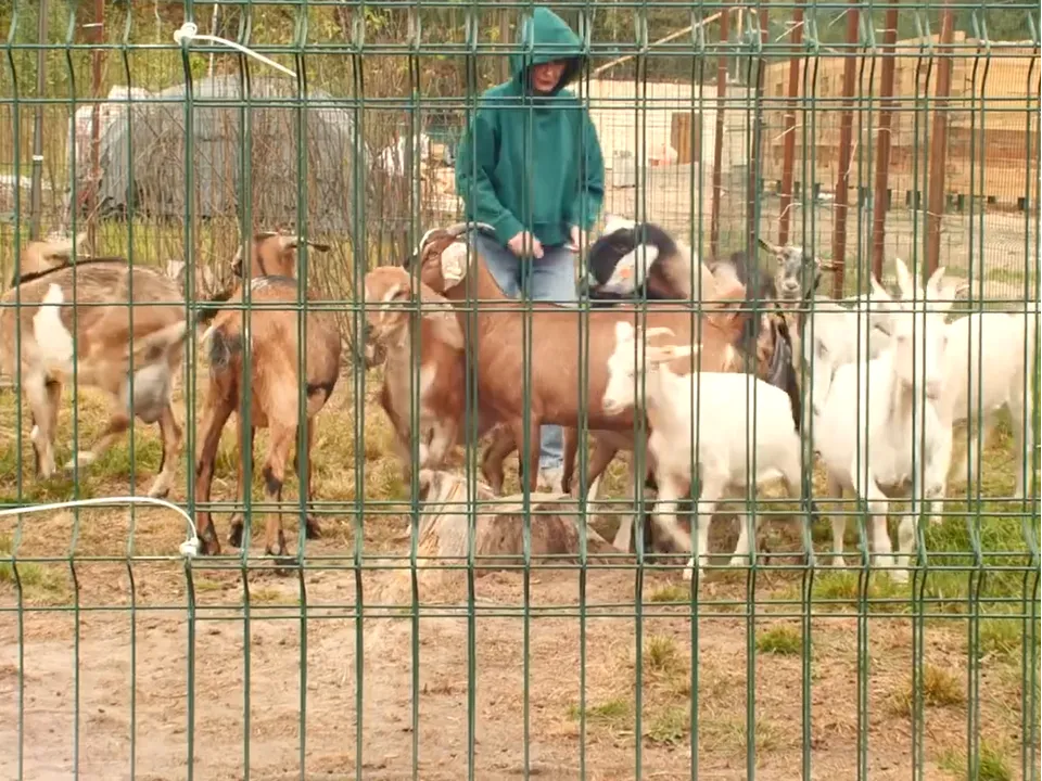 Фото: личный архив Полины Савиной