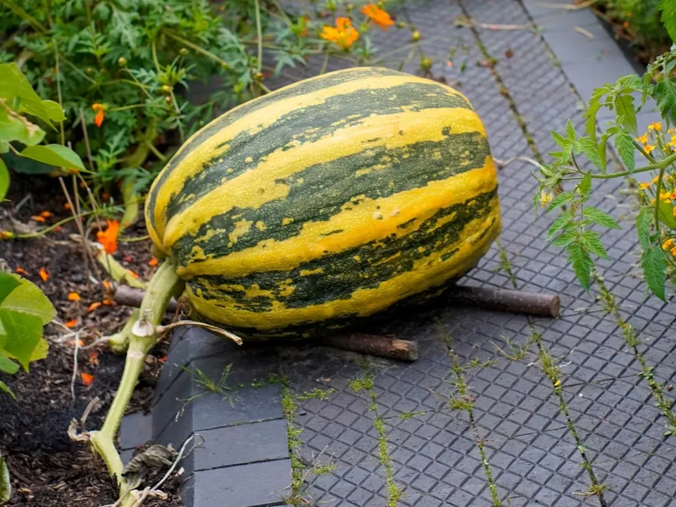 Фото: unsplash.com