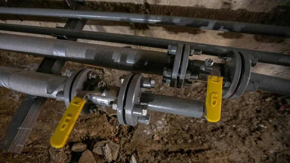 Фото: администрация г.о. Реутов