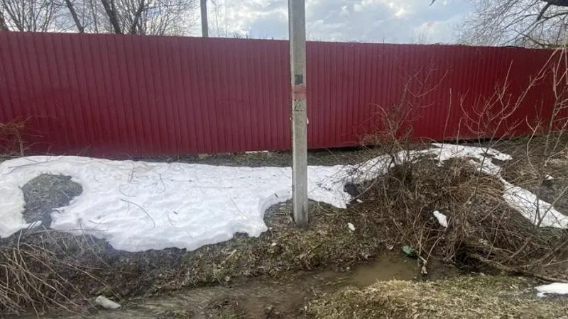 Фото: Министерство экологии и природопользования Московской области