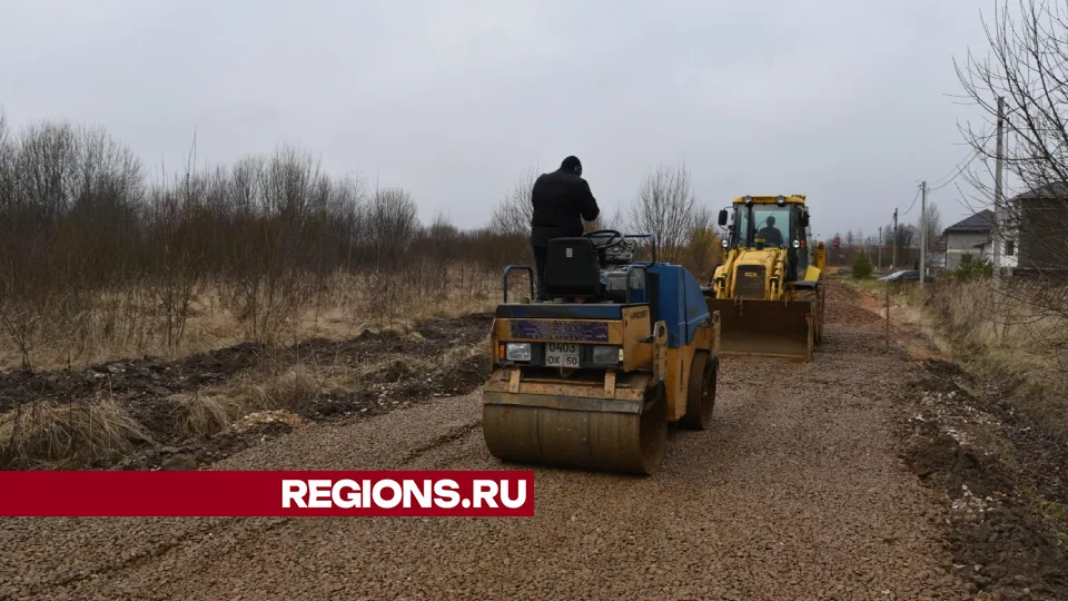 Фото: Владимир Останин